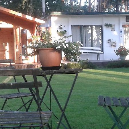 Villa Helpende Hand Oelegem Exterior foto